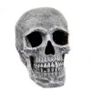 Large Realistic Skull Prop -Halloween Decoration Shop 01103811 a