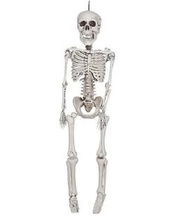 3 Ft Plastic Skeleton