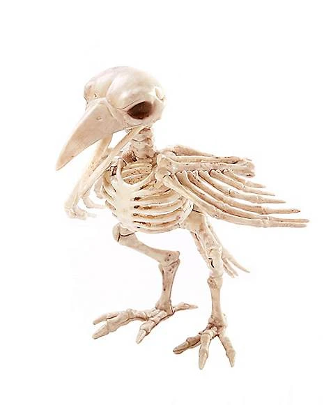 Skeleton Crow 3 Skeleton Crow