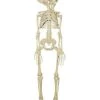 20 Inch Two-Headed Skeleton 1 20 Inch Two-Headed Skeleton -Halloween Decoration Shop 01344241 a