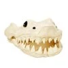 Shark Skull - Decorations 2 Shark Skull - Decorations -Halloween Decoration Shop 01425503 a