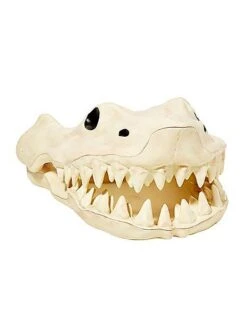 Shark Skull - Decorations