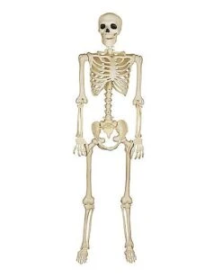 5 Ft Blacklight Skeleton