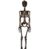 Moss Skeleton -Halloween Decoration Shop 01477140 a