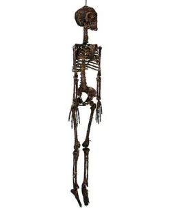 Moss Skeleton -Halloween Decoration Shop 01477140 b