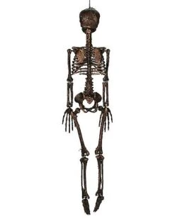 Moss Skeleton -Halloween Decoration Shop 01477140 c