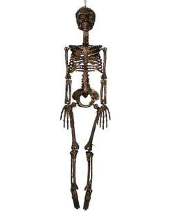 Moss Skeleton -Halloween Decoration Shop 01477140 d