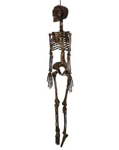 Moss Skeleton -Halloween Decoration Shop 01477140 e
