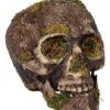 Moss Skull 1 Moss Skull -Halloween Decoration Shop 01477157 a