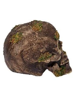 Moss Skull -Halloween Decoration Shop 01477157 b
