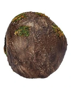 Moss Skull -Halloween Decoration Shop 01477157 c