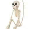 Monkey Skeleton -Halloween Decoration Shop 01477173 a