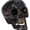 Lightning Skull -Halloween Decoration Shop 01477751 a