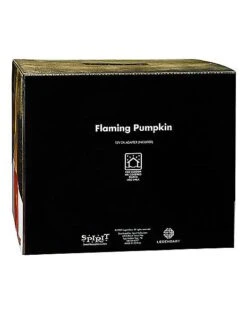 Light-Up Flaming Pumpkin - Trick 'r Treat -Halloween Decoration Shop 01490200 f