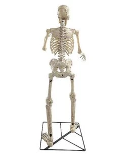 6 Ft Grim Animatronic -Halloween Decoration Shop 01512730 e