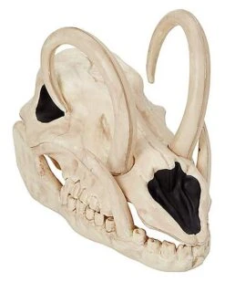 Boar Skull -Halloween Decoration Shop 01528785 a