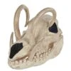 Boar Skull 2 Boar Skull -Halloween Decoration Shop 01528785 a