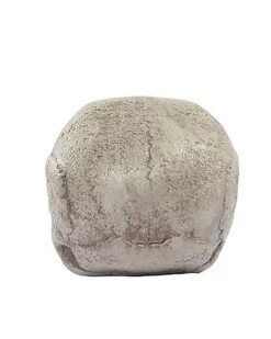 Mutant Skull -Halloween Decoration Shop 01528868 b