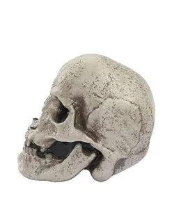 Mutant Skull -Halloween Decoration Shop 01528868 d