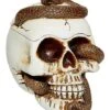 Snake Skull Box 2 Snake Skull Box -Halloween Decoration Shop 01530286 a