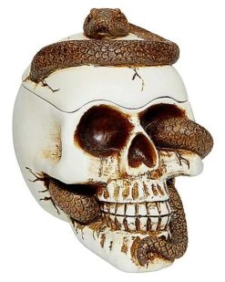 Snake Skull Box
