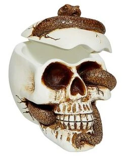 Snake Skull Box -Halloween Decoration Shop 01530286 c