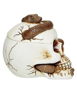 Snake Skull Box -Halloween Decoration Shop 01530286 d