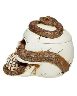 Snake Skull Box -Halloween Decoration Shop 01530286 f