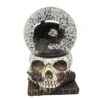 Gothic Noir Raven Snow Globe -Halloween Decoration Shop 01540020 a