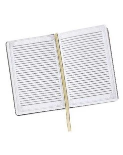 Gothic Noir Skull Journal -Halloween Decoration Shop 01540152 c