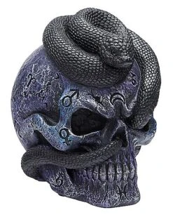 Mystical Arts Snake Skull -Halloween Decoration Shop 01542786 c