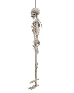 5 Ft. Digieye Hanging Skeleton Decoration 9 5 Ft. Digieye Hanging Skeleton Decoration -Halloween Decoration Shop 01547751 d