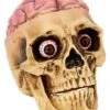 Skull With Brain Decoration -Halloween Decoration Shop 01573070 a