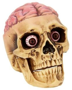 Skull With Brain Decoration