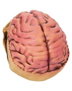 Skull With Brain Decoration 8 Skull With Brain Decoration -Halloween Decoration Shop 01573070 c