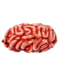 Intestines Prop -Halloween Decoration Shop 01588029 b