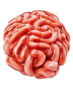 Intestines Prop -Halloween Decoration Shop 01588029 c
