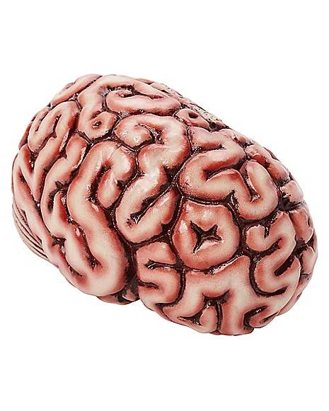 Brain Prop 3 Brain Prop
