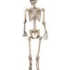 5 Ft Pose 'N' Stay Skeleton