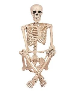 5 Ft Pose 'N' Stay Skeleton -Halloween Decoration Shop 07125149 c