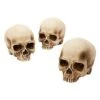 Jawless Skull Set - 3 Pack -Halloween Decoration Shop 07641780 a