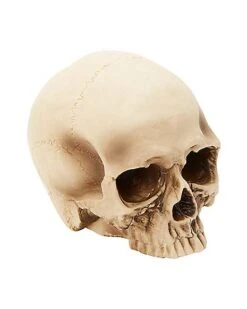 Jawless Skull Set - 3 Pack -Halloween Decoration Shop 07641780 b