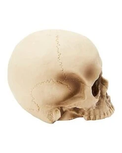 Jawless Skull Set - 3 Pack -Halloween Decoration Shop 07641780 c